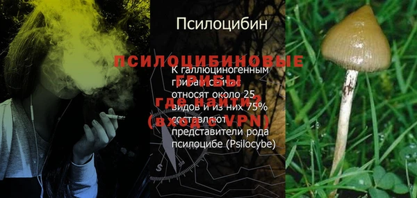 хмурый Костерёво