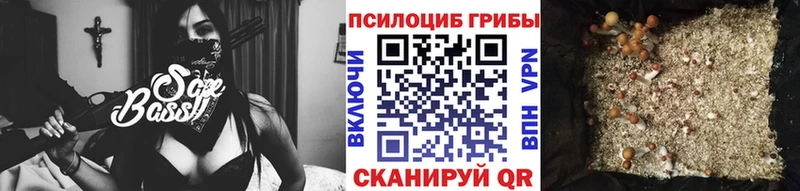 Галлюциногенные грибы GOLDEN TEACHER купить закладку Кубинка