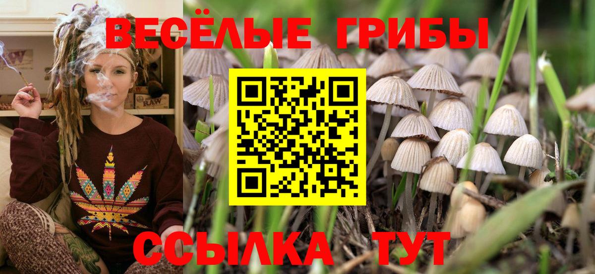 Галлюциногенные грибы мухоморы Кубинка