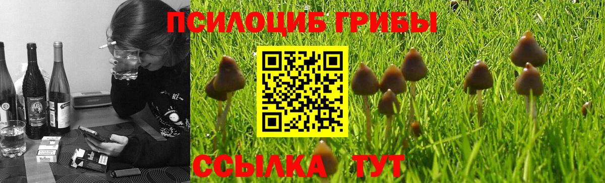 Кубинка  Псилоцибиновые грибы мухоморы  купить наркотики цена  Вход с VPN 